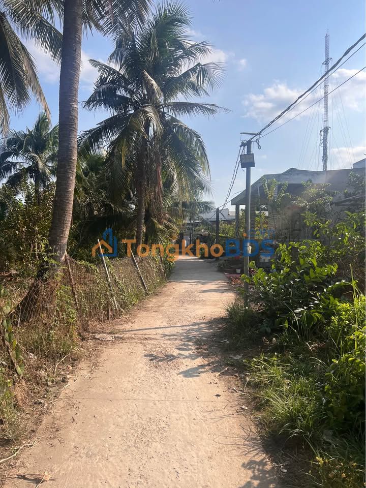 Đất Thổ Cư 178.8m² Gần KCN Giao Long, Bến Tre - Sổ Hồng Sẵn Sàng