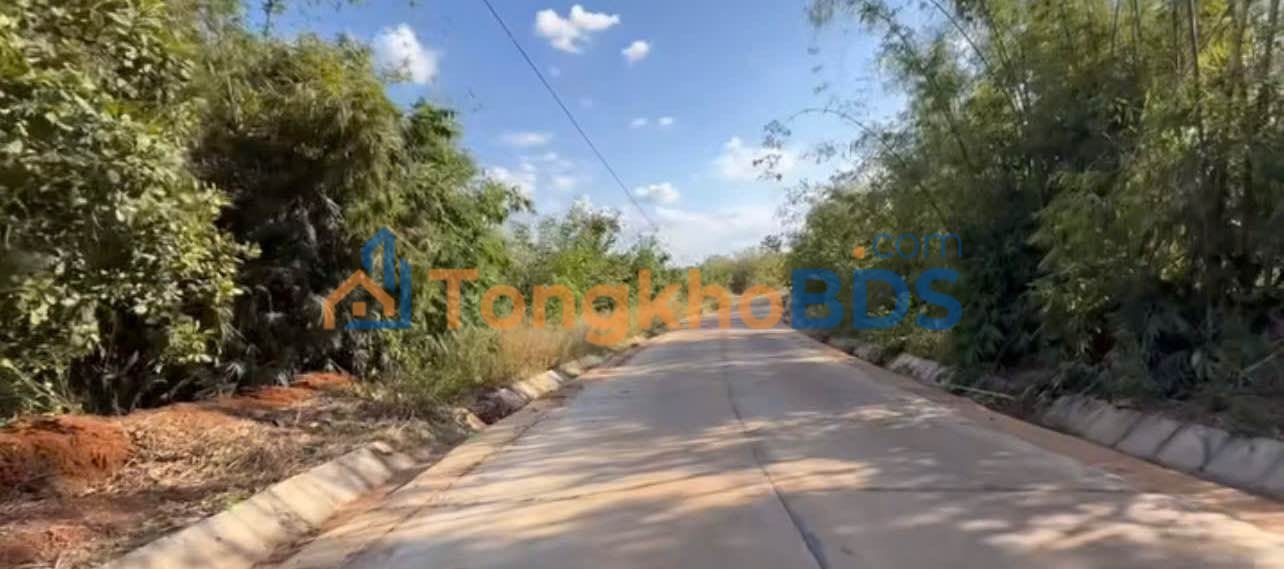 Bán 3ha Đất Farm Tuy Đức, Đắk Nông - Giá 1.5 tỷ, Sẵn Sàng Chuyển Đổi Cây Trồng