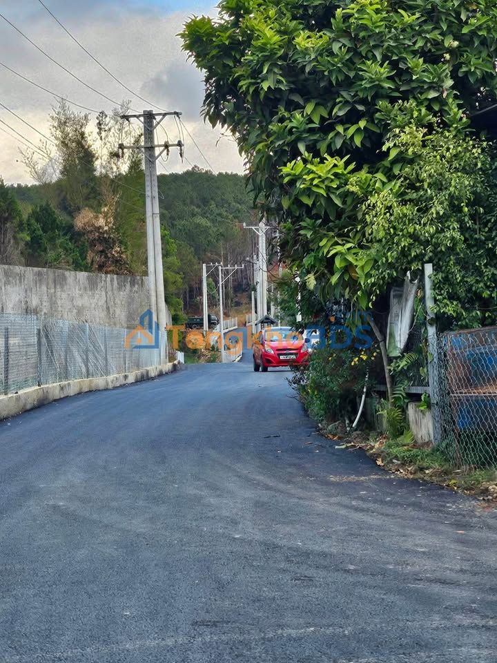 Đất nền D'Ran Lâm Đồng - 1 tỷ sở hữu view đồi thông Châu Sơn