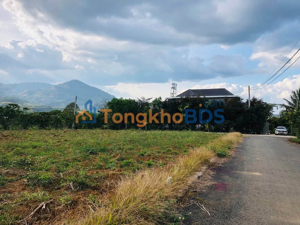 Đất Lộc Thanh Bảo Lộc 300m² 139 triệu - Đất thổ cư 100%