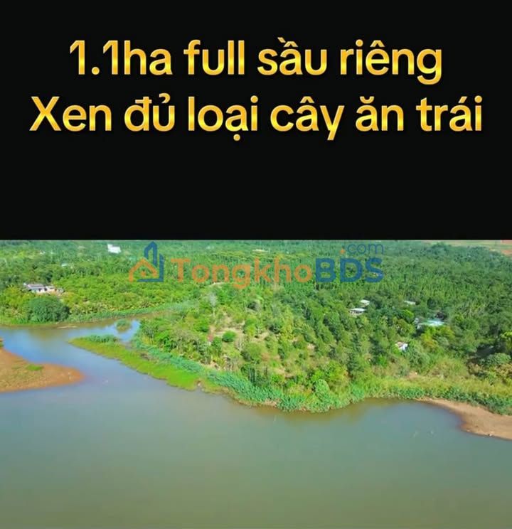 Bán Gấp Farm 1.1ha View Hồ Sầu Riêng 6 Năm Tuổi - Đắk Nông