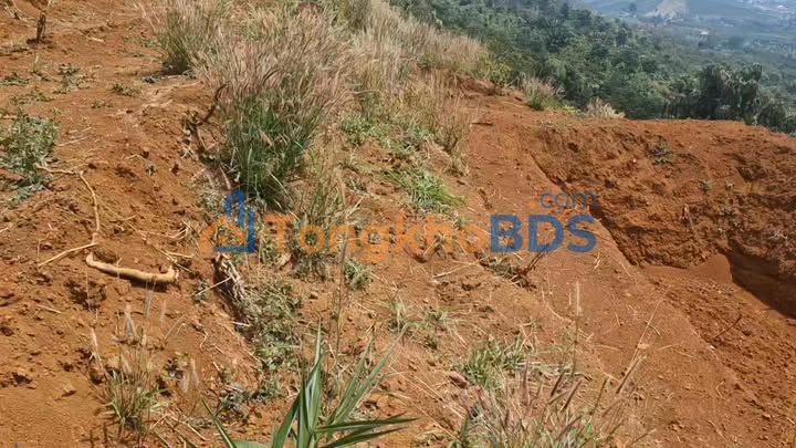 Bán 9.5 Sào Đất Lộc Bắc, Bảo Lâm - Sổ Sách Đầy Đủ, Giá 1.08 Tỷ