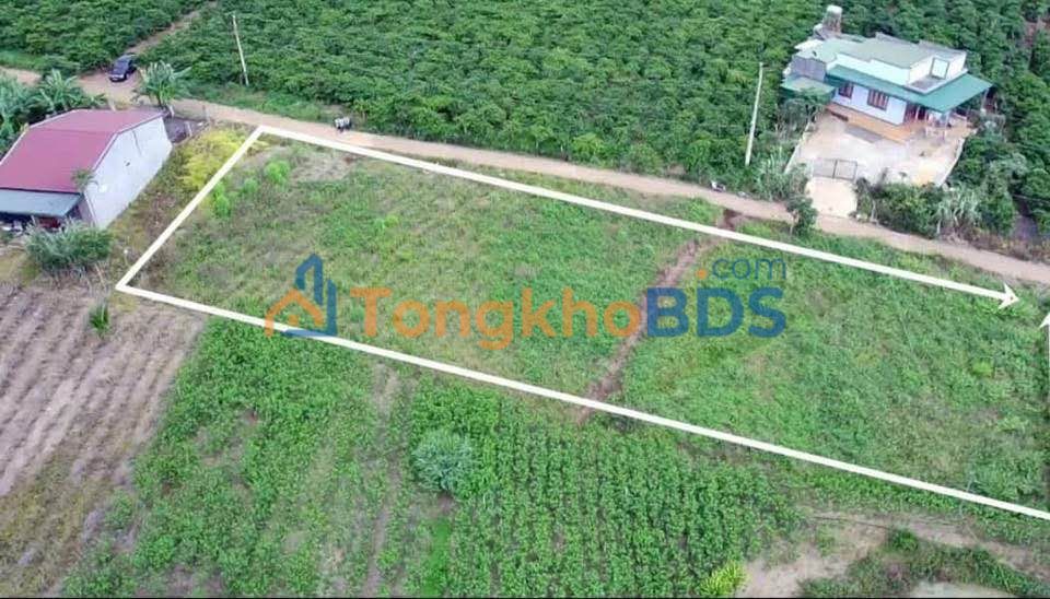 Đất Nền 1497m² Tân Hà, Lâm Đồng - Mặt Tiền Bê Tông Rộng, Giá 46.4 Tỷ