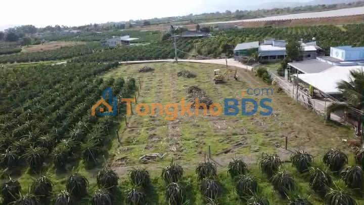 Bán gấp đất vườn 648m² Xã Hàm Hiệp, Bình Thuận - Giá chỉ 790 triệu