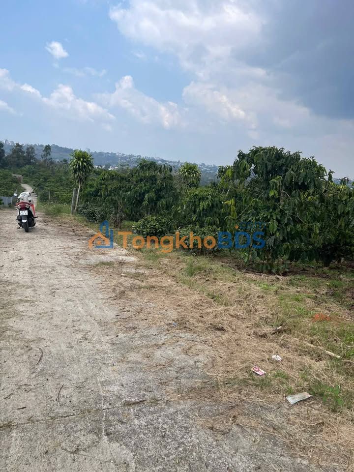 Đất thổ cư 2000m² view toàn thành phố Bảo Lộc - Sẵn sổ hồng