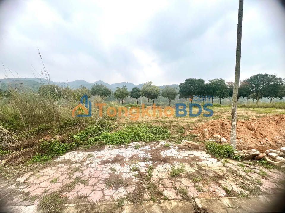 Đất Lô Góc Mặt Tiền 22/12, TP. Thái Nguyên - 100m² - 1.7 Tỷ