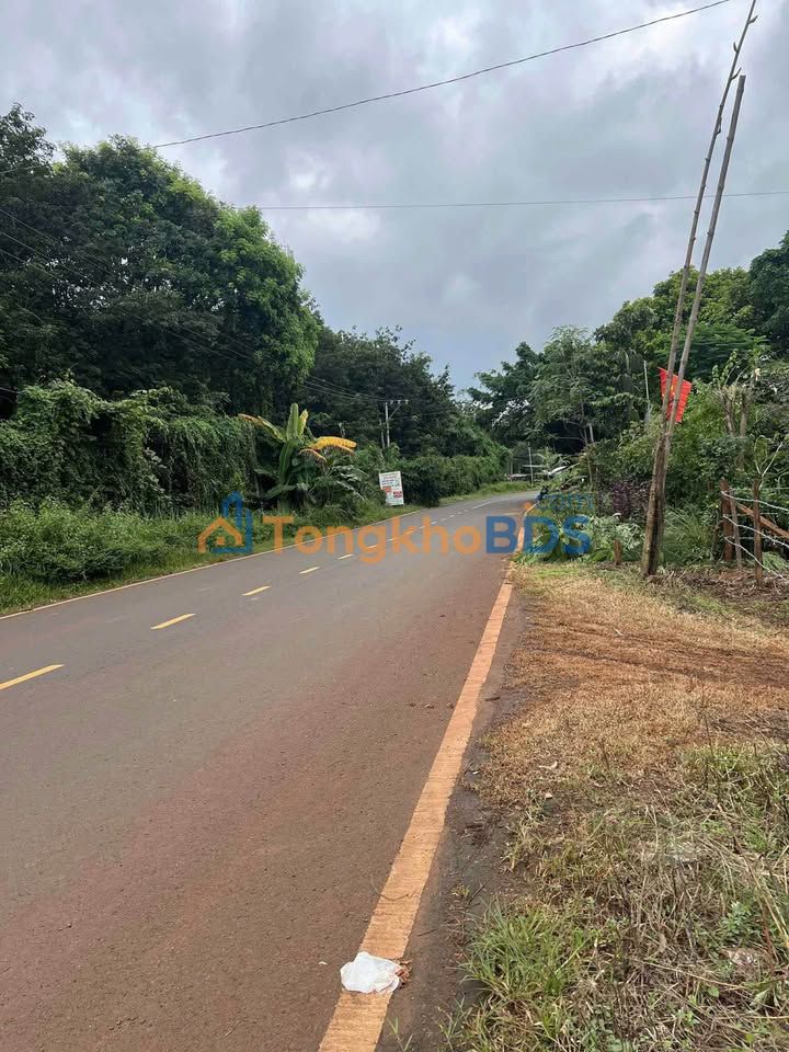 Biệt thự 585m² Mặt tiền 15m Trung tâm Bắc Cường - Sẵn sàng đón chủ mới!