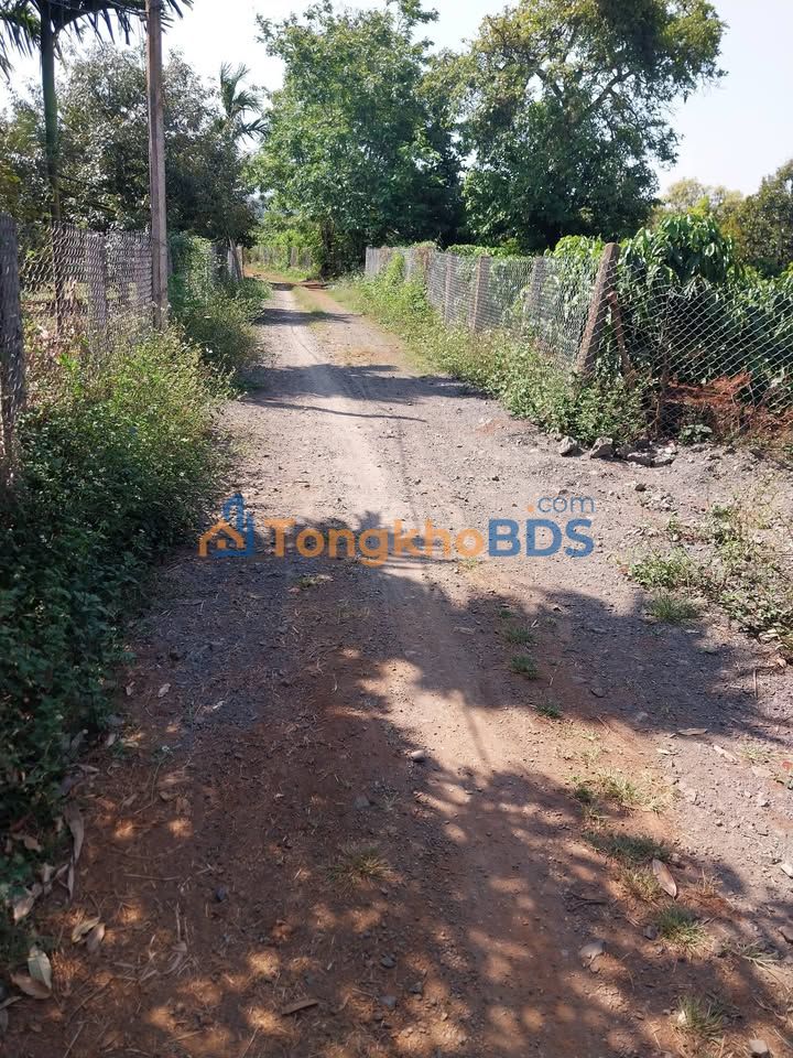 Đất thổ cư Tân Tiến, Đắk Lắk - 165m² full thổ cư, giá 499 triệu