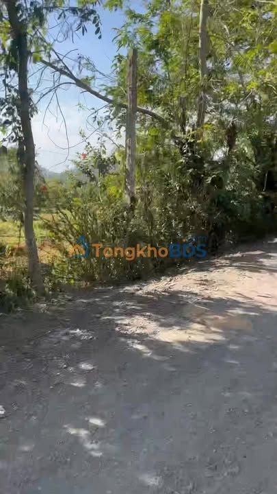 Bán Rẫy 9 Sào Đất Đỏ Krông Pắc - Xe Tải Tận Nơi