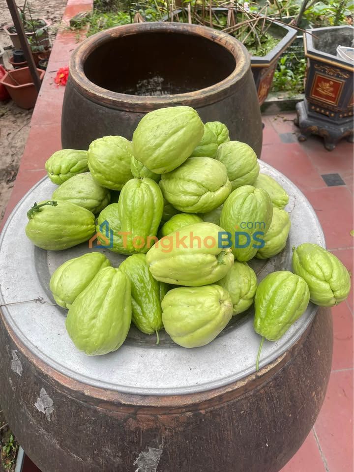 Nhà 150m² 2 Tầng Full Nội Thất - Cao Viên, Thanh Oai - Giá Đầu Tư