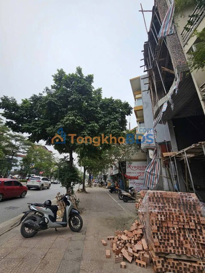 Nhà Mặt Phố Cổ Linh 7 Tầng Kinh Doanh Đỉnh Cao, 175m², Hướng Bắc