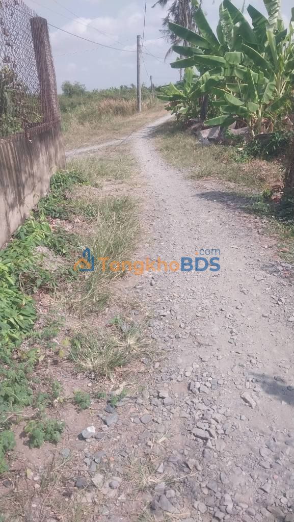 Đất Vườn Long An 9200m² - View Rạch Mát Mẻ, Giá Đầu Tư 2.3 Tỷ