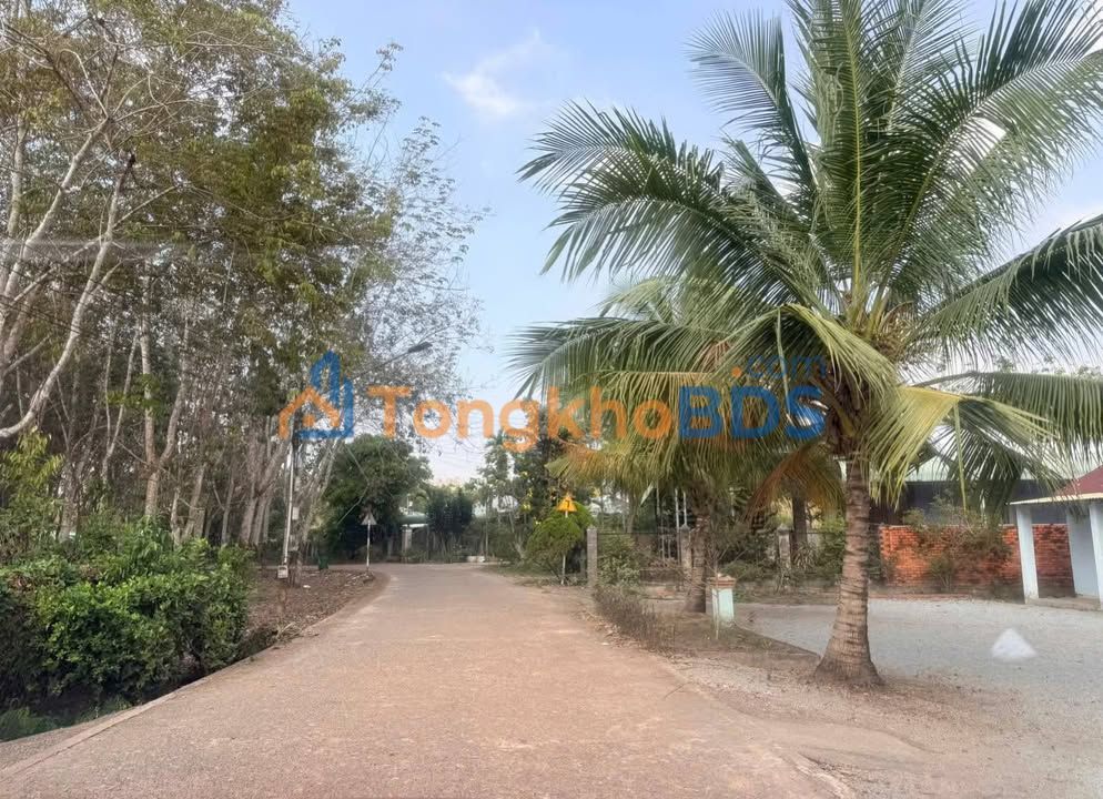 Đất Nền Phú Giáo 4800m² - Giá Tốt 550 Triệu - Sẵn Sổ Hồng