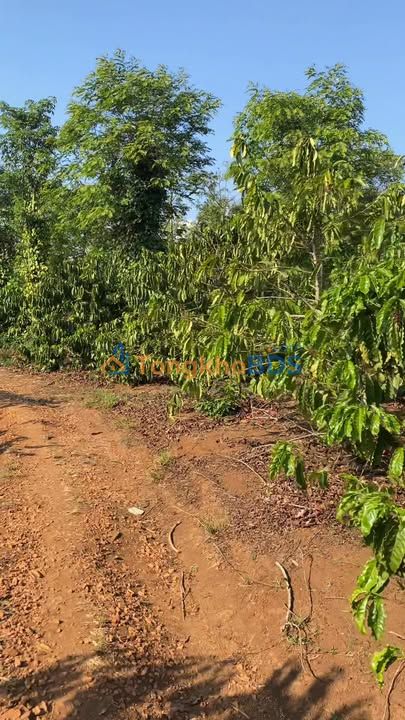 Đất Nền Đắk Lắk - 4200m² Giá Tốt Sau Chợ Ea Na, Krông Ana