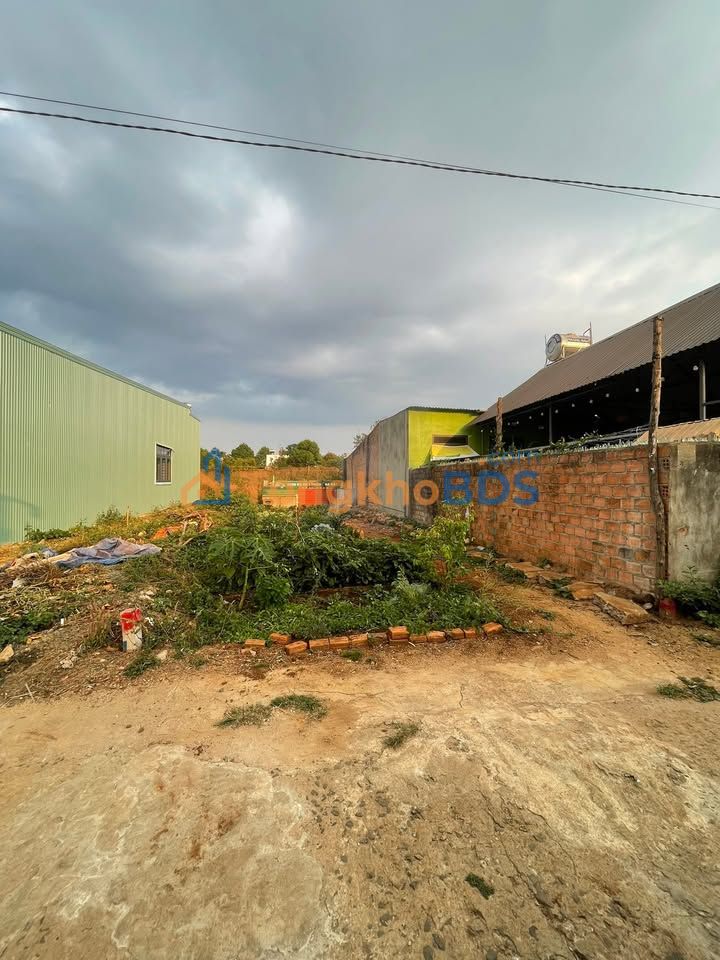 Bán Gấp Đất Hẻm 420 Trường Chinh, Pleiku - 125m² Thổ Cư, Hướng Tây