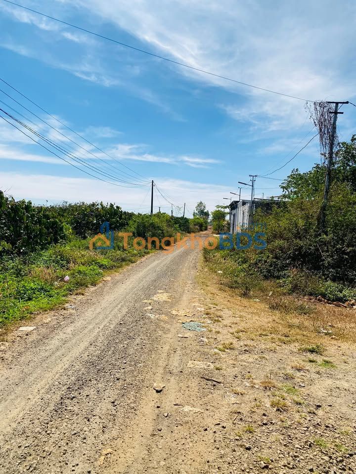 Đất thổ cư 120m² Nguyễn Kiệm, Gia Lai - Giá chỉ 2xx triệu, sổ sẵn