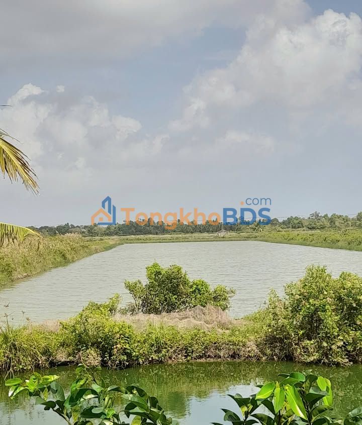 Đất nền 5000m² Phước Long, Bạc Liêu - Sổ đỏ chính chủ, giá 300 triệu