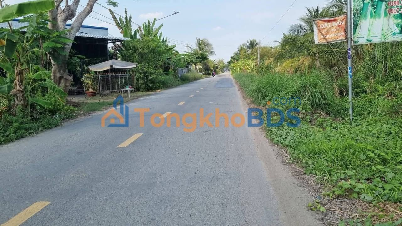 Đất Vườn Đồng Tháp 3300m² Mặt Tiền Lộ Lớn - Đầu Tư Hấp Dẫn