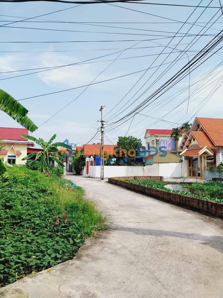 Bán Đất Lương Mỹ, Quỳnh Phụ, Thái Bình - 250m², Mặt Tiền Rộng 15m, Giá 1.4 Tỷ