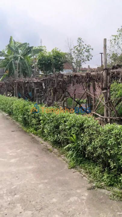 Đất Thổ Cư 121m² Mộ Trạch, Hải Dương - Sổ Đỏ Rõ Ràng, Giá Tốt