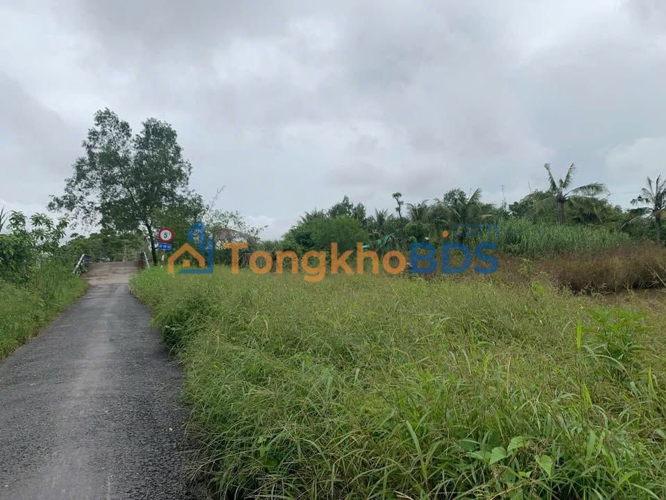 Bán Đất Cần Thơ 1200m² Mặt Tiền Lộ Nhựa 4m - Giá Tốt