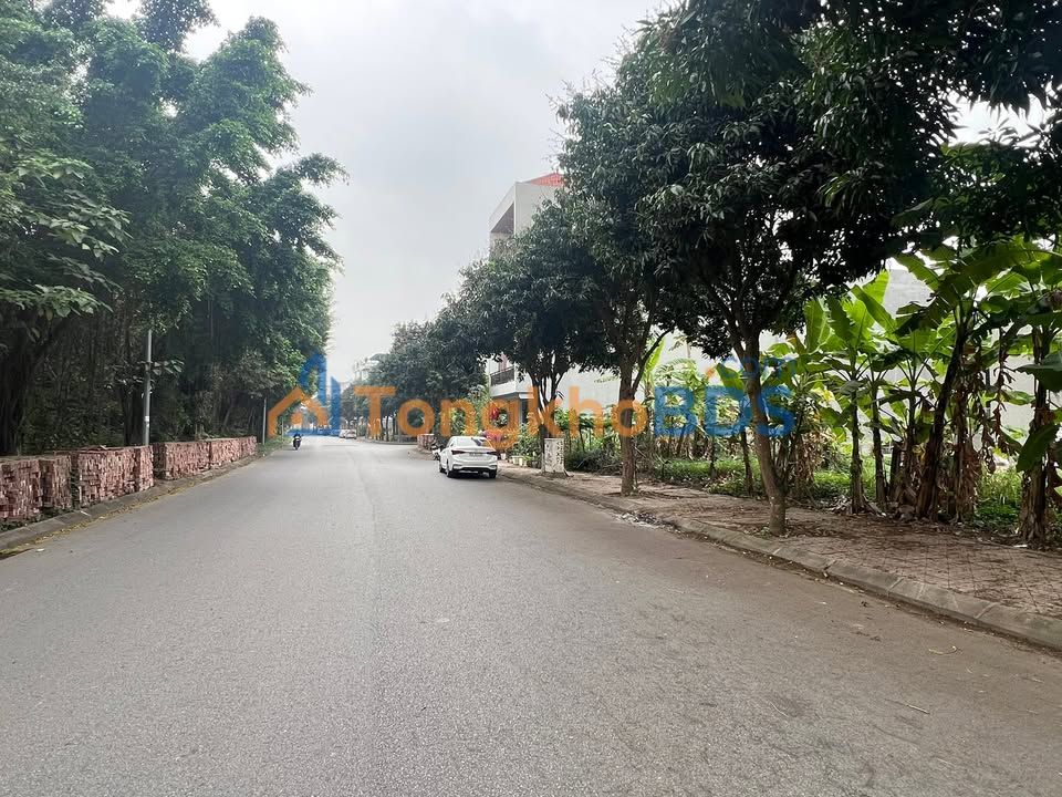 Đất nền Nam Đầm Vạc 104m² - Mặt tiền 6.5m - Kinh doanh đắc lợi