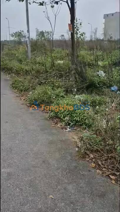 Đất nền Tân Chi, Tiên Du, Bắc Ninh - 102m² - Sổ đỏ chờ sẵn