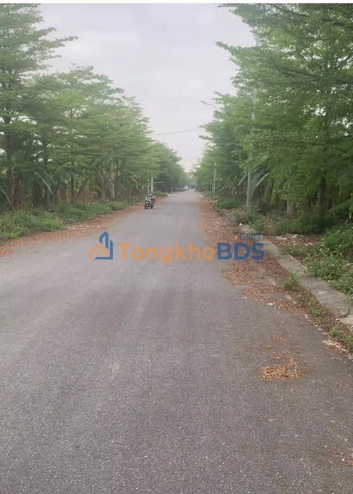 Đất nền Gia Thịnh, Gia Viễn (100m²) - Cắt lỗ sâu, giá tốt nhất khu vực