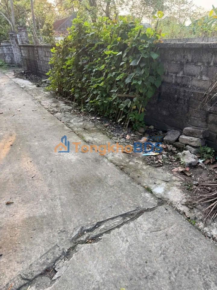 Bán đất 240m² Xã Sơn Hà, Nho Quan - Giá chỉ 7xx triệu, sổ đỏ chính chủ