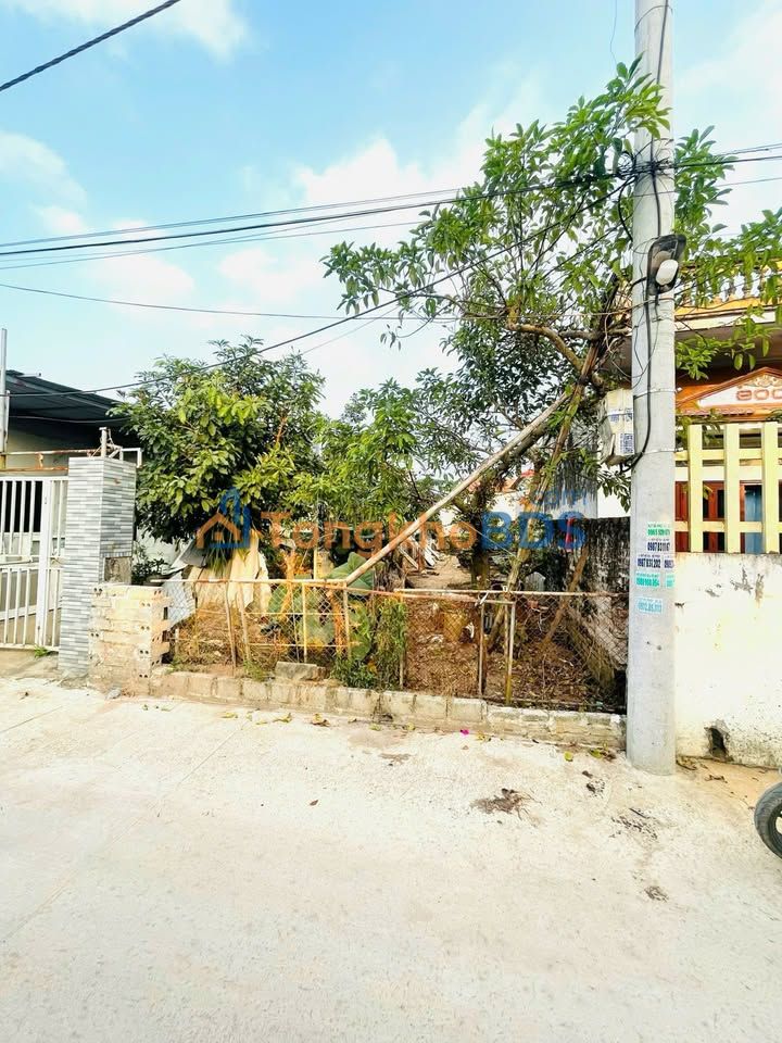 Đất nền Quán Trạch Văn Giang 105m² 4.2 tỷ - Sổ đỏ chính chủ