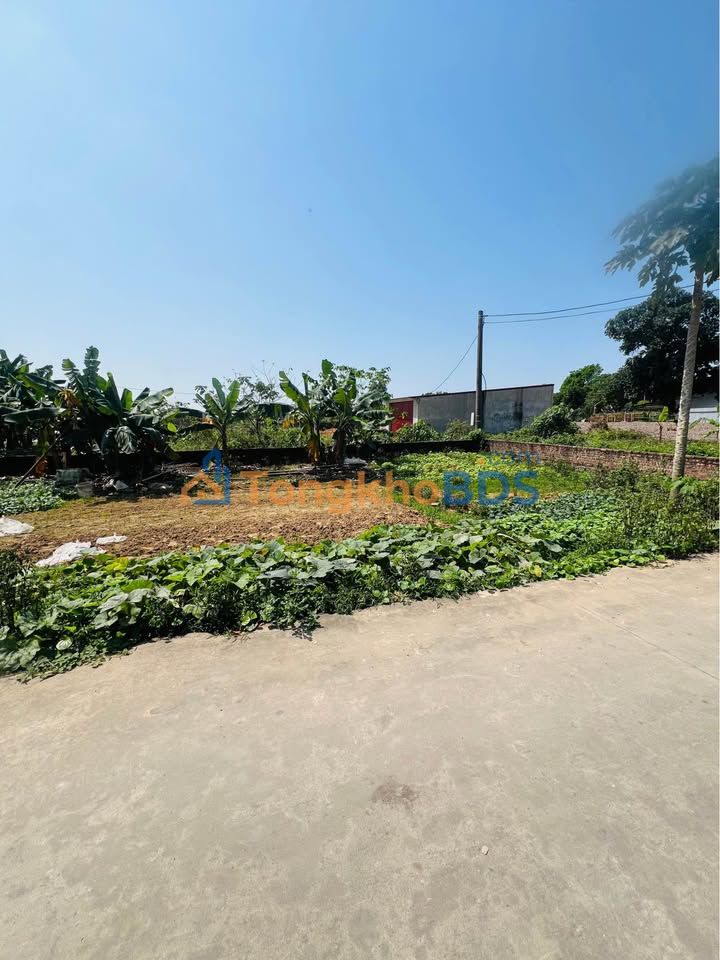 Bán Đất Sóc Sơn 131m² - Gần Sân Bay Nội Bài - Sổ Đỏ Sẵn Sàng