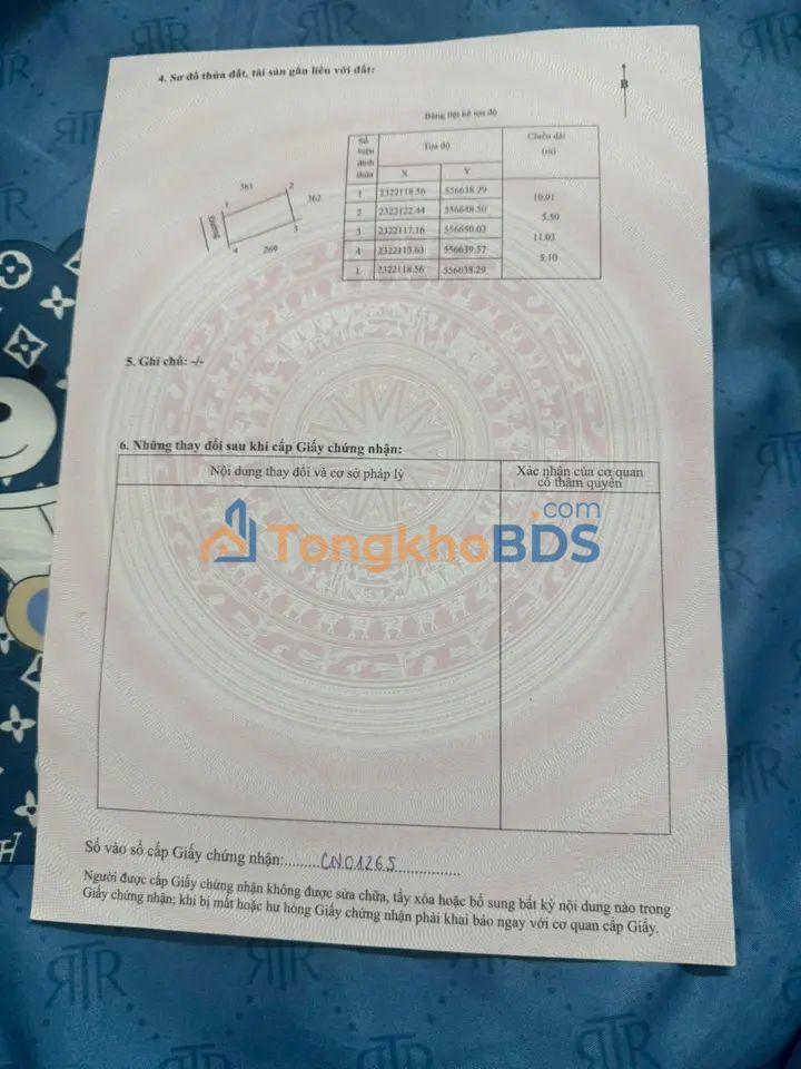 Đất nền Trịnh Xá, Văn Lâm, Hưng Yên - 58m² áp góc, đường thông, giá tốt