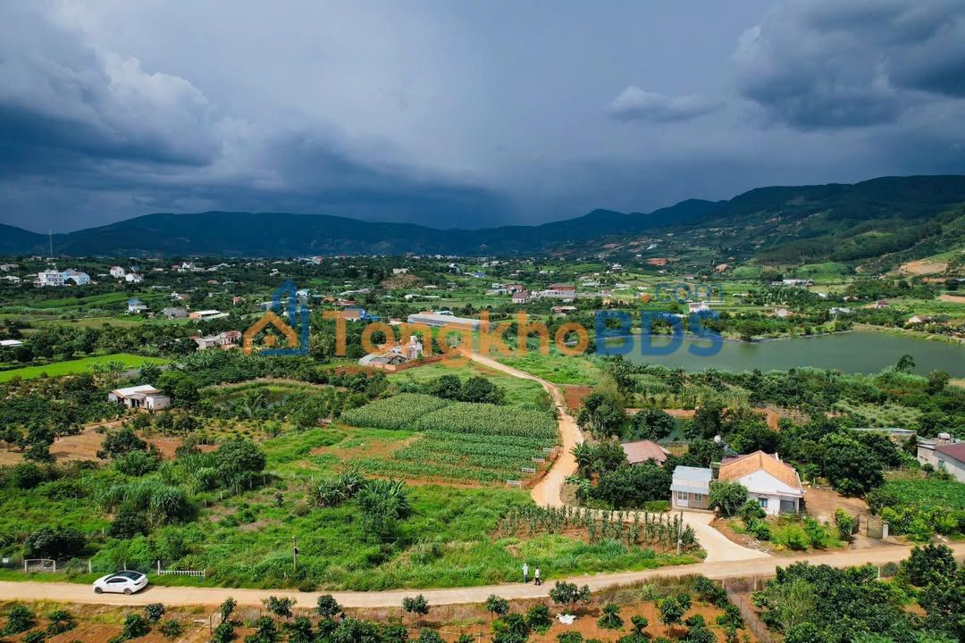 Đất Xã Nam Ban Lâm Hà 770m² Lô Góc 3 Mặt Tiền - Giá 1.55 Tỷ