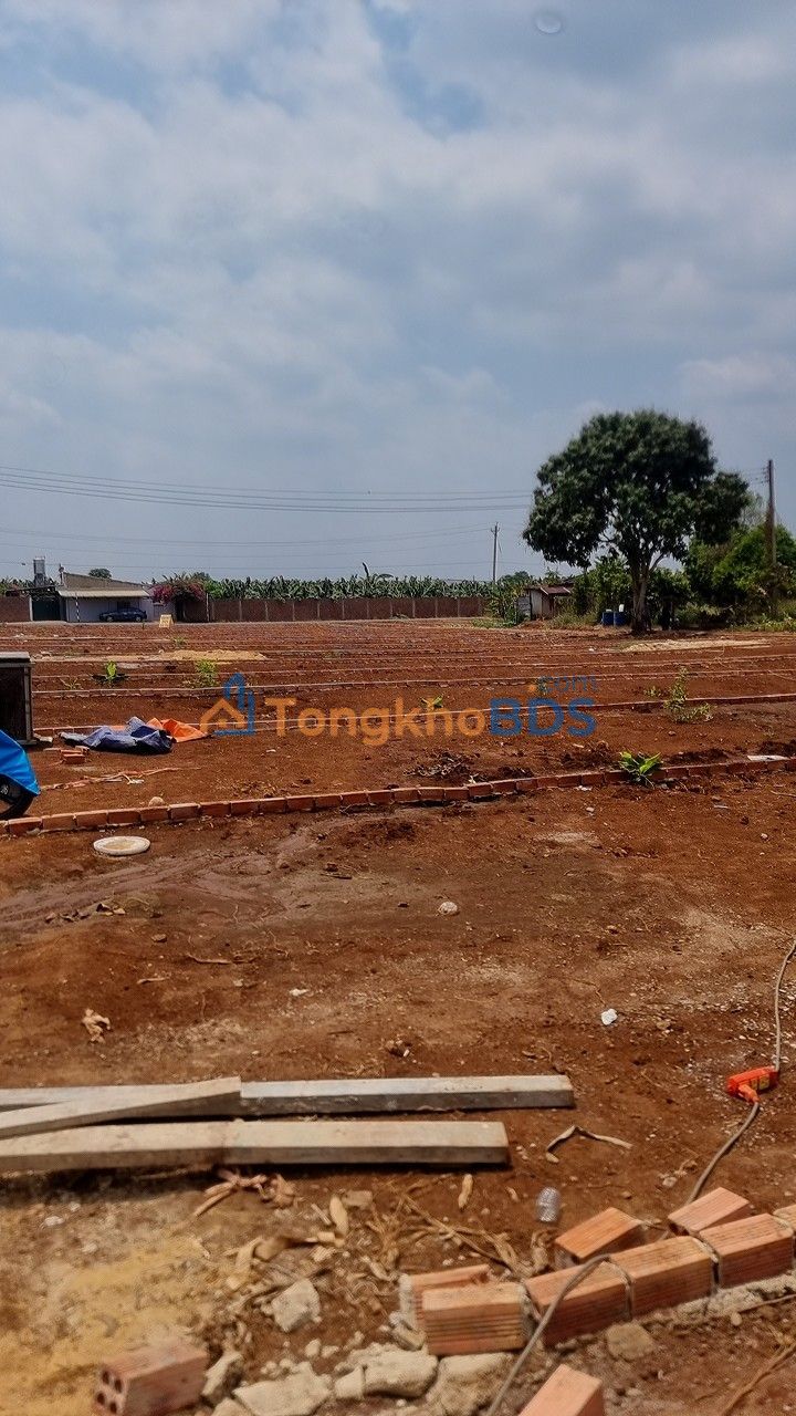 Đất Nền Sổ Riêng Bàu Hàm Trảng Bom - Kinh Doanh Tốt, 750 Triệu