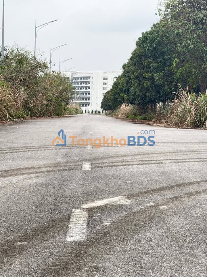 Đất Vàng Bạch Mai, Phủ Lý: 120m² Hướng Nam, View Công Viên - Sẵn Sàng Xây Dựng