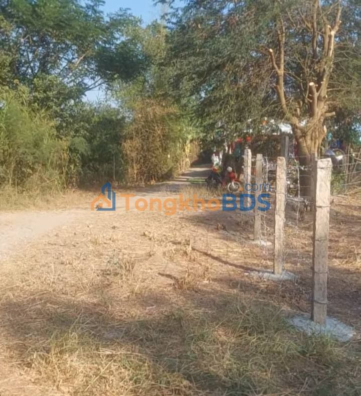 Đất nền Phú Lễ, Ba Tri 600m² - Hai mặt tiền, giá 480 triệu