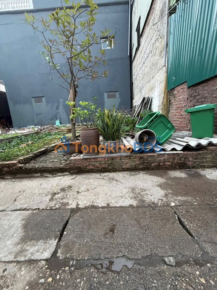 Đất Nền 50m² Phù Khê, Bắc Ninh - Ô Tô Tận Đất, Giá 1.6 Tỷ