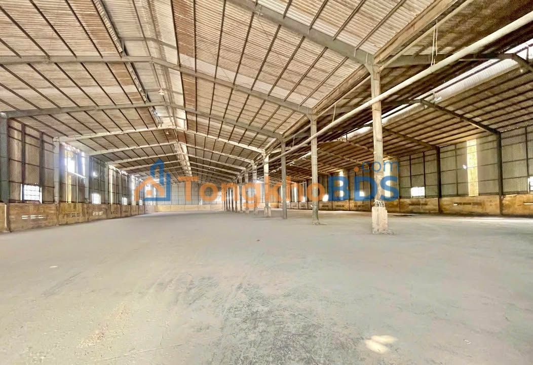 Mặt Tiền Hoàng Văn Thụ Quy Nhơn - 170m² Kinh Doanh Sầm Uất