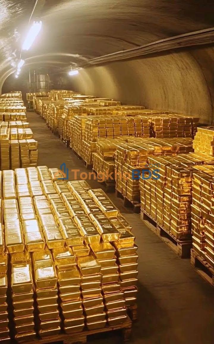 Bán Gấp Lô Đất 77m² Hẻm 28 Nguyễn Thái Học, Quy Nhơn - Sổ Đỏ Rõ Ràng