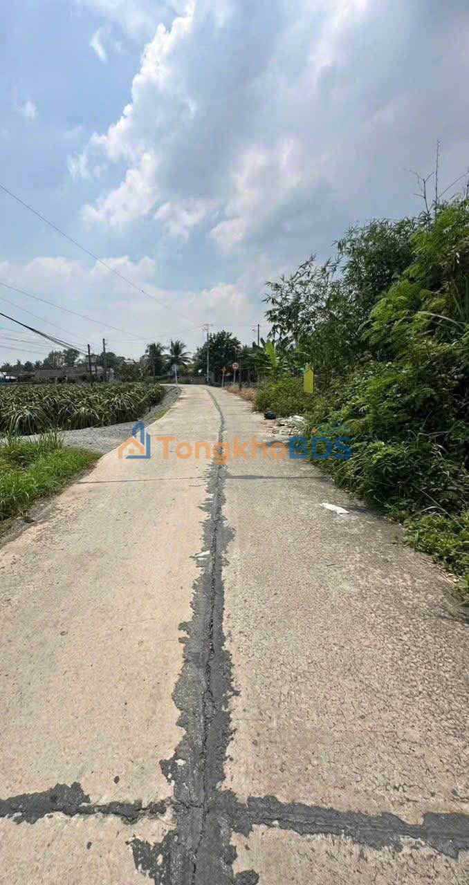 Đất nền 1000m² mặt tiền Lương Văn Hội, TP Tân An - Giá 1.85 tỷ