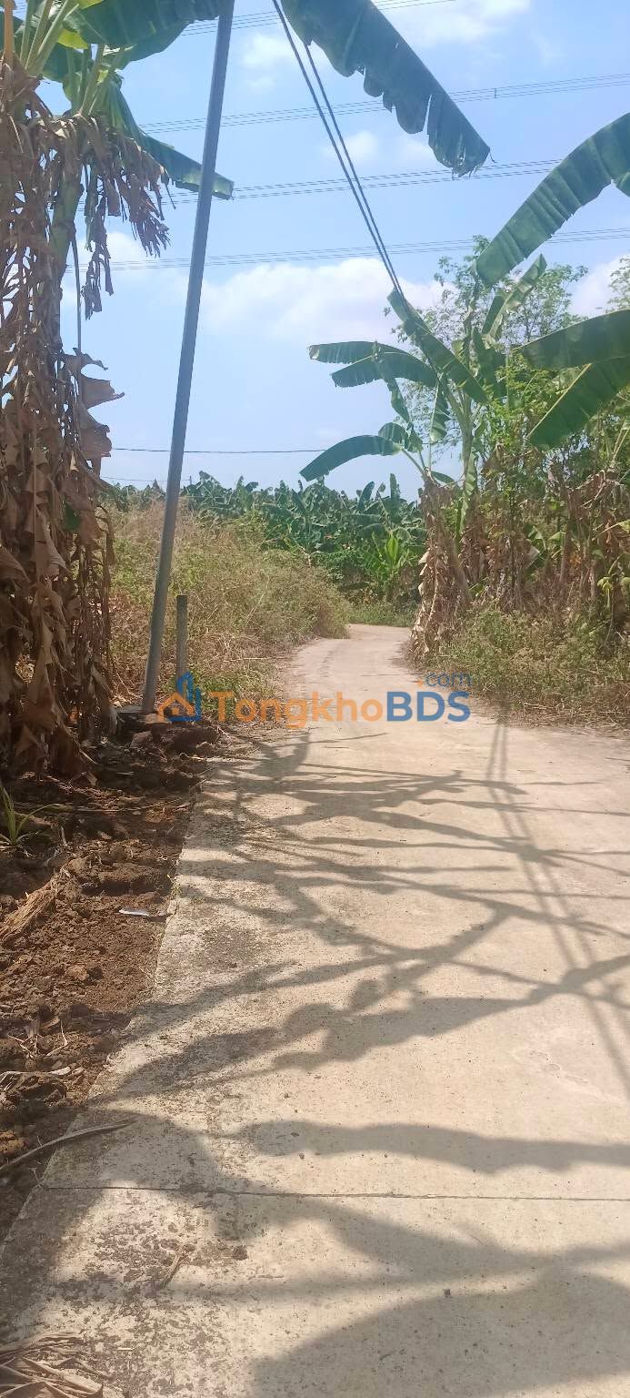 Đất Vàng Đồng Nai: 2000m² Xã Bàu Hàm, Trảng Bom - Giá Tốt 998 Triệu