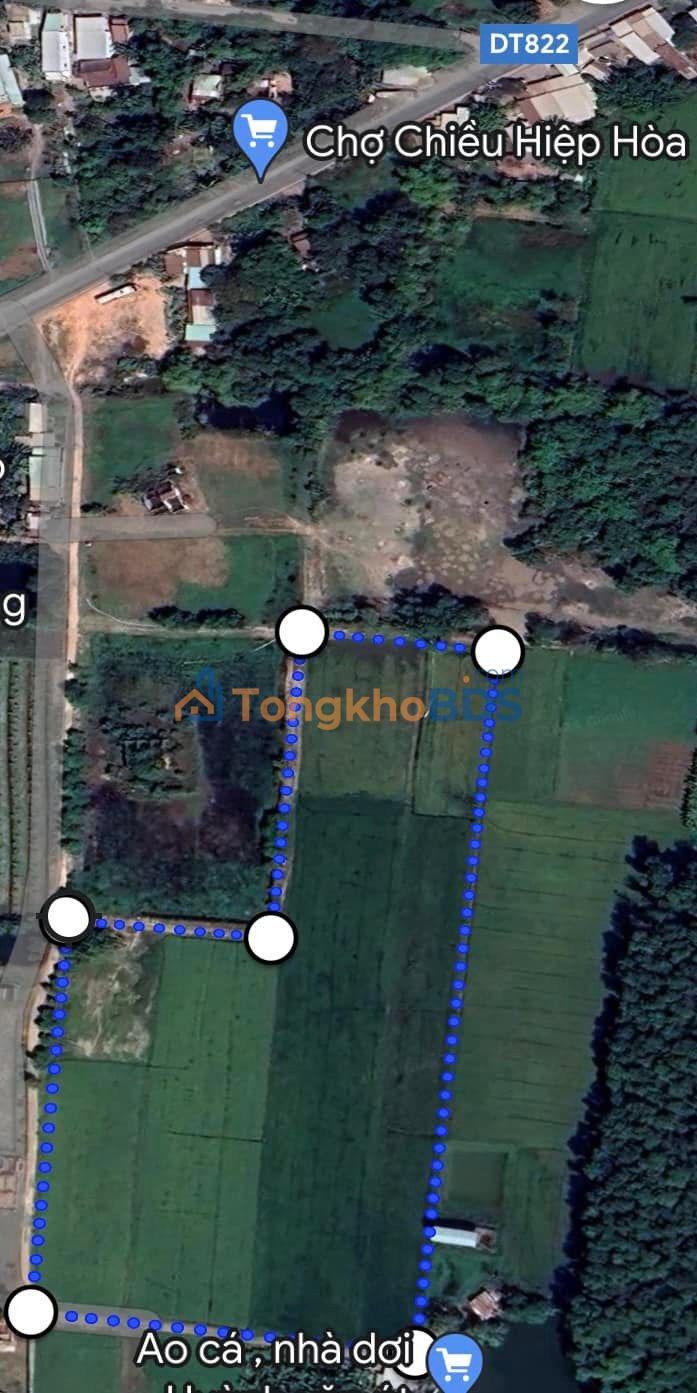 Bán Gấp Đất Vàng 15.000m² Đức Hòa, Long An - Sổ Đỏ Chính Chủ