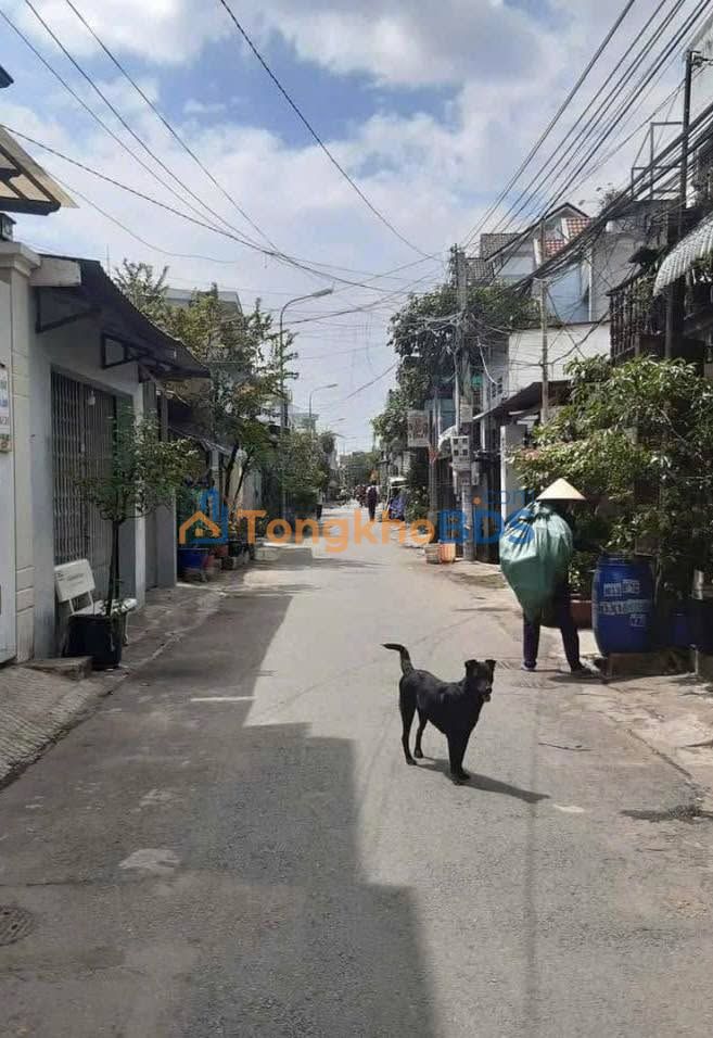 Đất MT Đường Số Lái Thiêu 100m² - Giá Tốt Nhất Khu Vực!