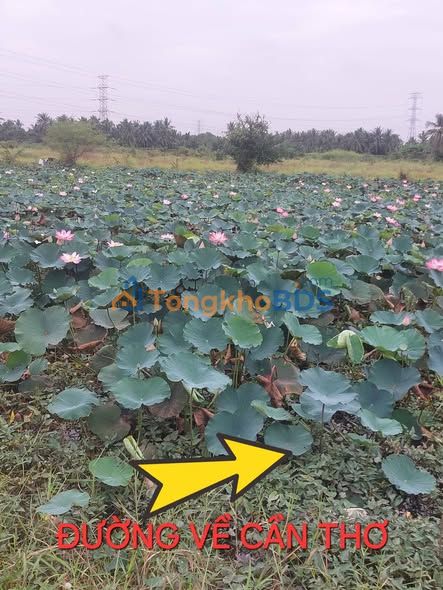 Nhà 2 Tầng 22m² Ngõ D Cung Gò Vấp - Giá 3 Tỷ Sổ Hồng Sẵn Sàng