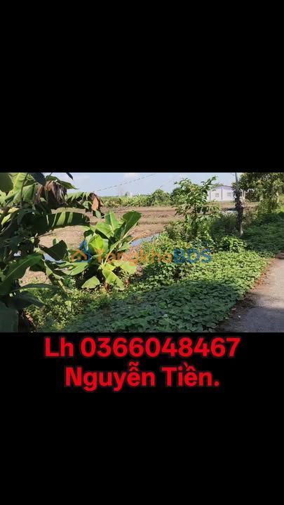 Đất Full Thổ Cư Mặt Tiền TL867, Tân Phước, Tiền Giang - 2550m² Giá Tốt
