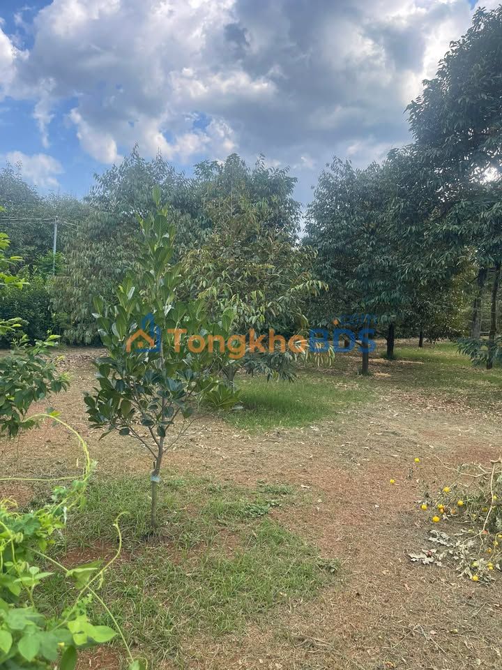 Đất Nền Long Khánh 1.5 Tỷ - 3 Sổ Riêng, View Đẹp, Sổ Hồng