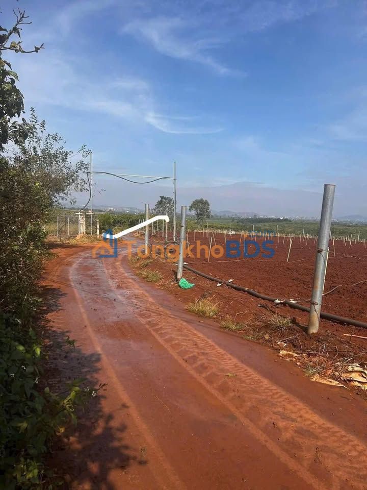 Bán 7000m² Đất Vườn Đức Trọng - Sổ Thổ Cư, Mặt Tiền Bê Tông 42m