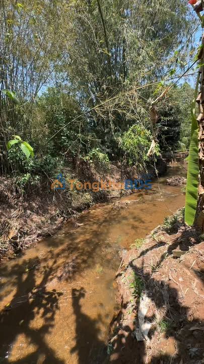 Đất Vườn Nghỉ Dưỡng 900m² View Suối - 1.9 Tỷ Sổ Riêng Tại Long Khánh