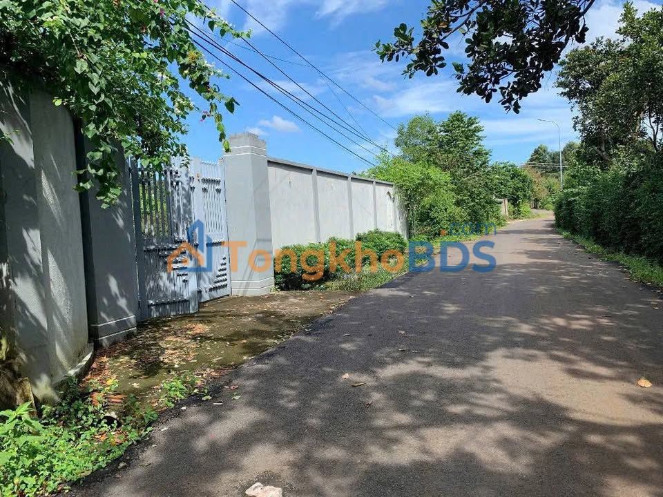 Bán Gấp Đất Vàng 8090m² Kim Long, Châu Đức - Sổ Đỏ, Giá 13.5 Tỷ