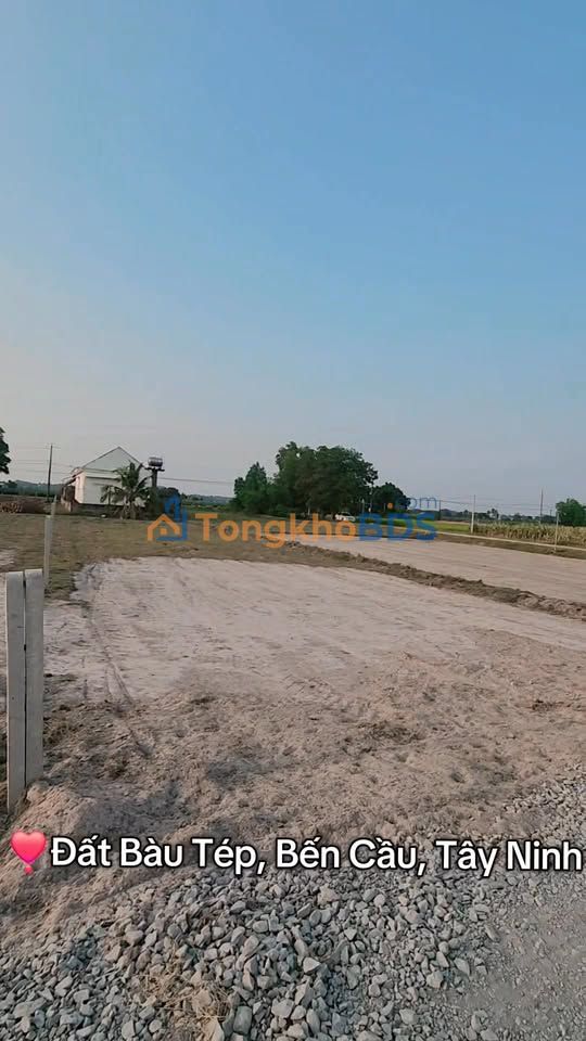 Bán đất Bến Cầu, Tây Ninh 328m² - Sổ đỏ thổ cư 100% giá 4.5 tỷ